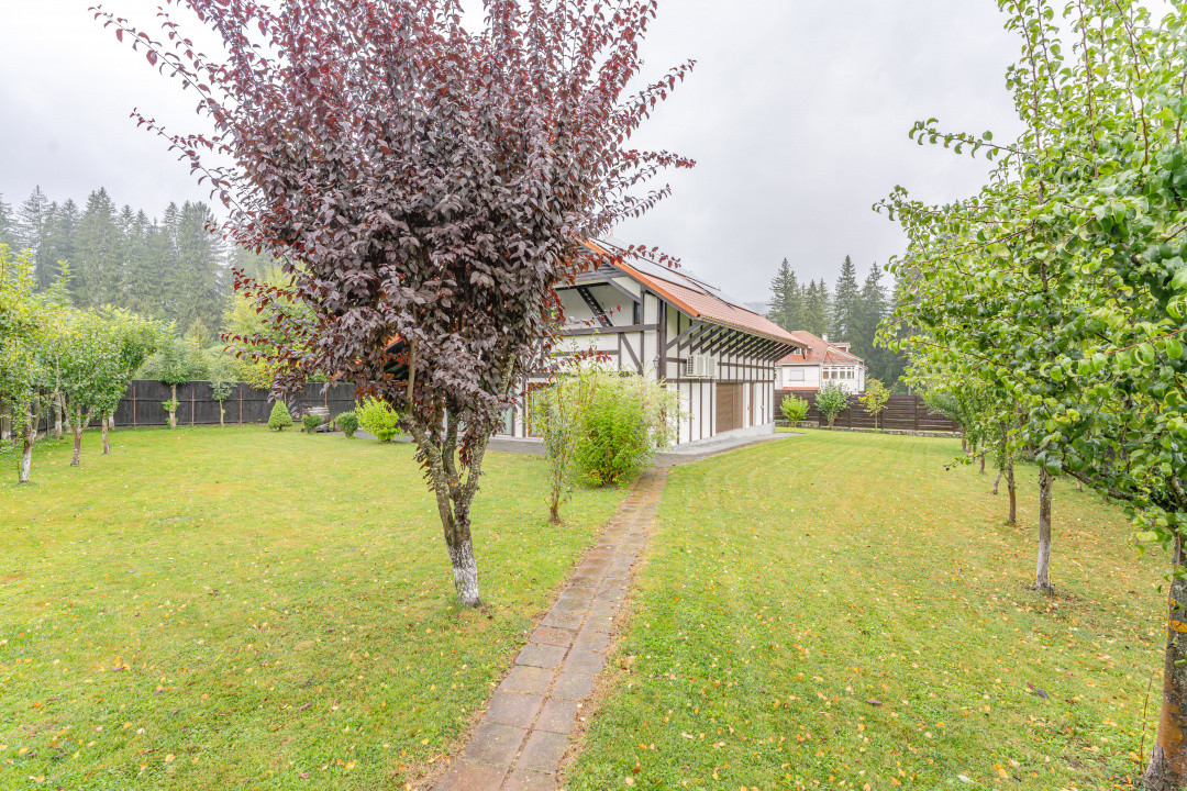 Vila in mijlocul naturii - pentru persoane care cauta liniste si intimitate 