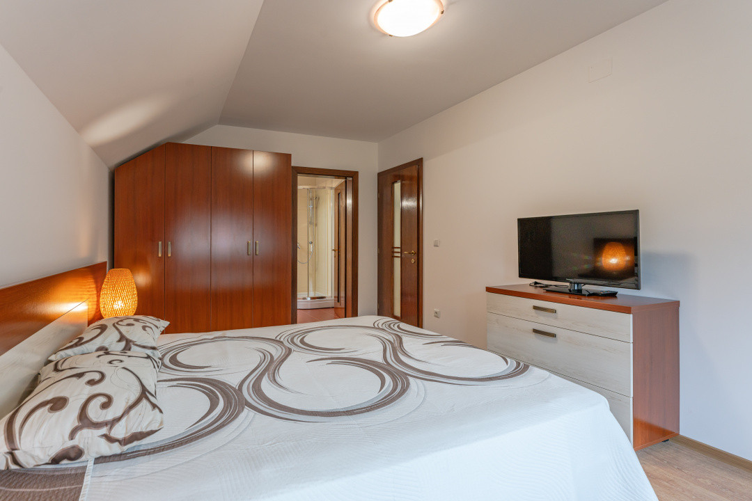 Vila in mijlocul naturii - pentru persoane care cauta liniste si intimitate 