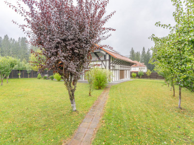 Vila in mijlocul naturii - pentru persoane care cauta liniste si intimitate 
