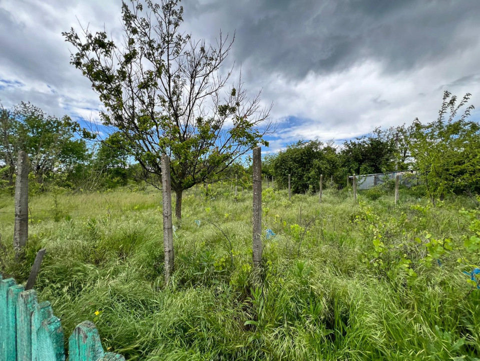 Casă + teren 4430 mp, vie și pomi fructiferi, 22 km de Tecuci