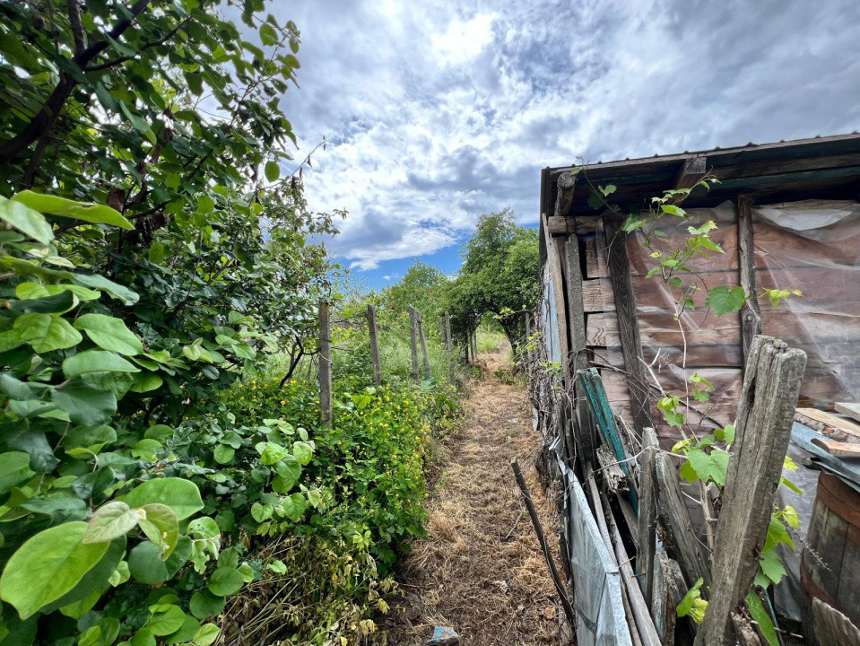 Casă + teren 4430 mp, vie și pomi fructiferi, 22 km de Tecuci