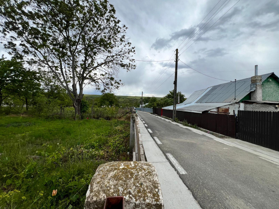 Casă + teren 4430 mp, vie și pomi fructiferi, 22 km de Tecuci