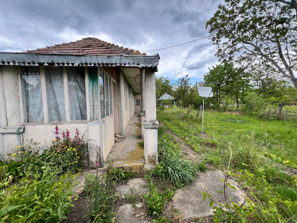 Casă + teren 4430 mp, vie și pomi fructiferi, 22 km de Tecuci