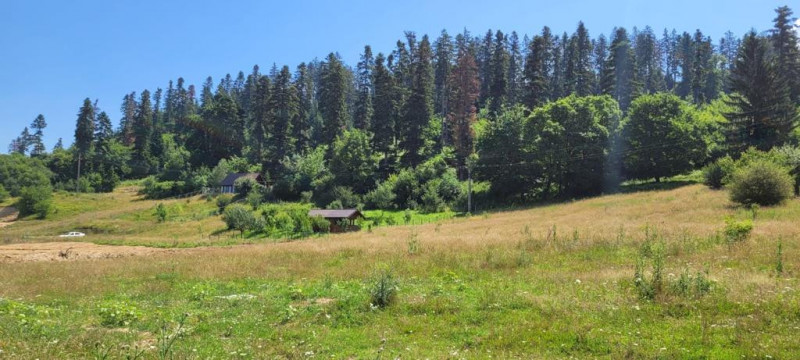 Teren intravilan in Cristian la liziera padurii