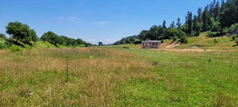 Teren intravilan in Cristian la liziera padurii