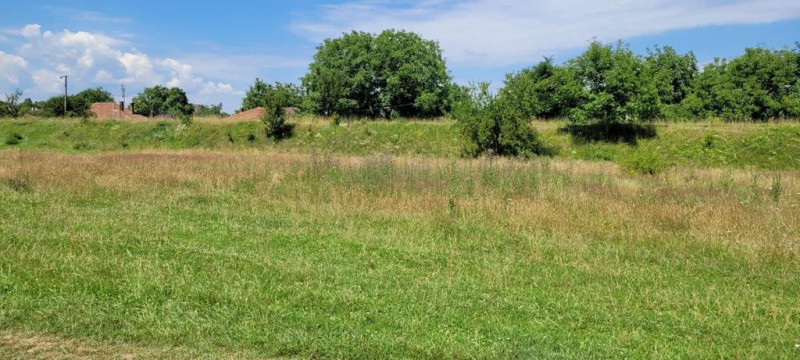 Teren intravilan in Cristian la liziera padurii