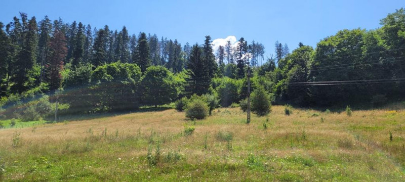 Teren intravilan in Cristian la liziera padurii