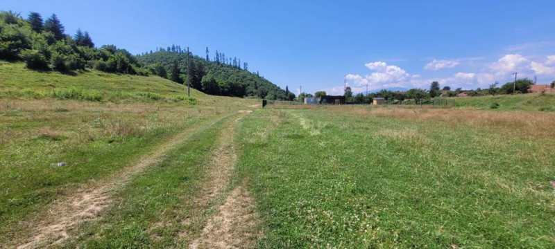 Teren intravilan in Cristian la liziera padurii