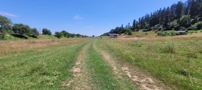 Teren intravilan in Cristian la liziera padurii