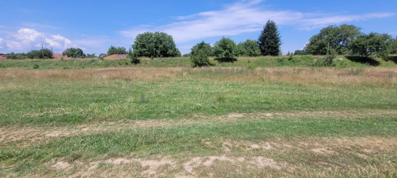 Teren intravilan in Cristian la liziera padurii