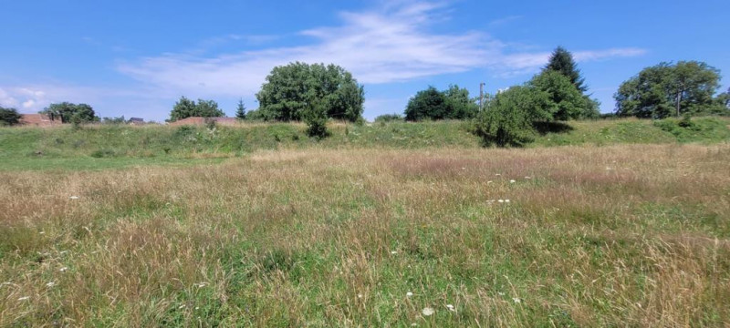 Teren intravilan in Cristian la liziera padurii