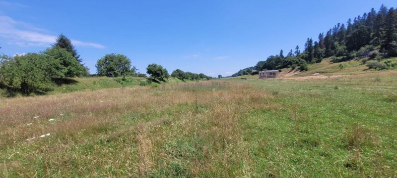 Teren intravilan in Cristian la liziera padurii