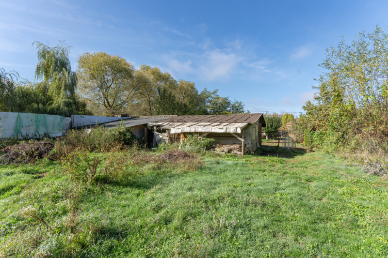 Casa | teren generos | Bacel, com. Chichis, Covasna | Agrement sau Ferma 