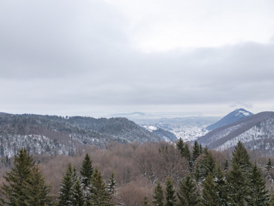 Teren intravilan, constructii S+P+2E+M, Drumul Poienii