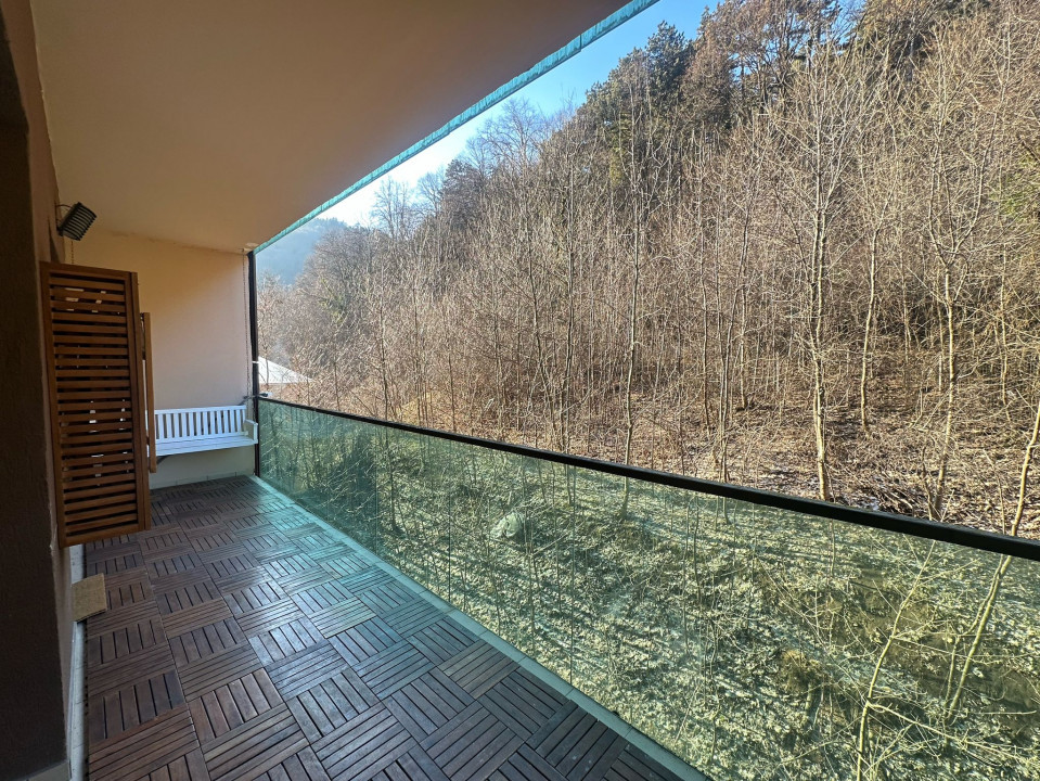 Apartament cochet in Tampa Gardens